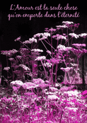L'amour &eacute;ternel en souvenir fleuri